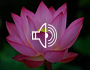 Celebratory Love Meditation