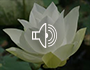Compassionate Love Meditation